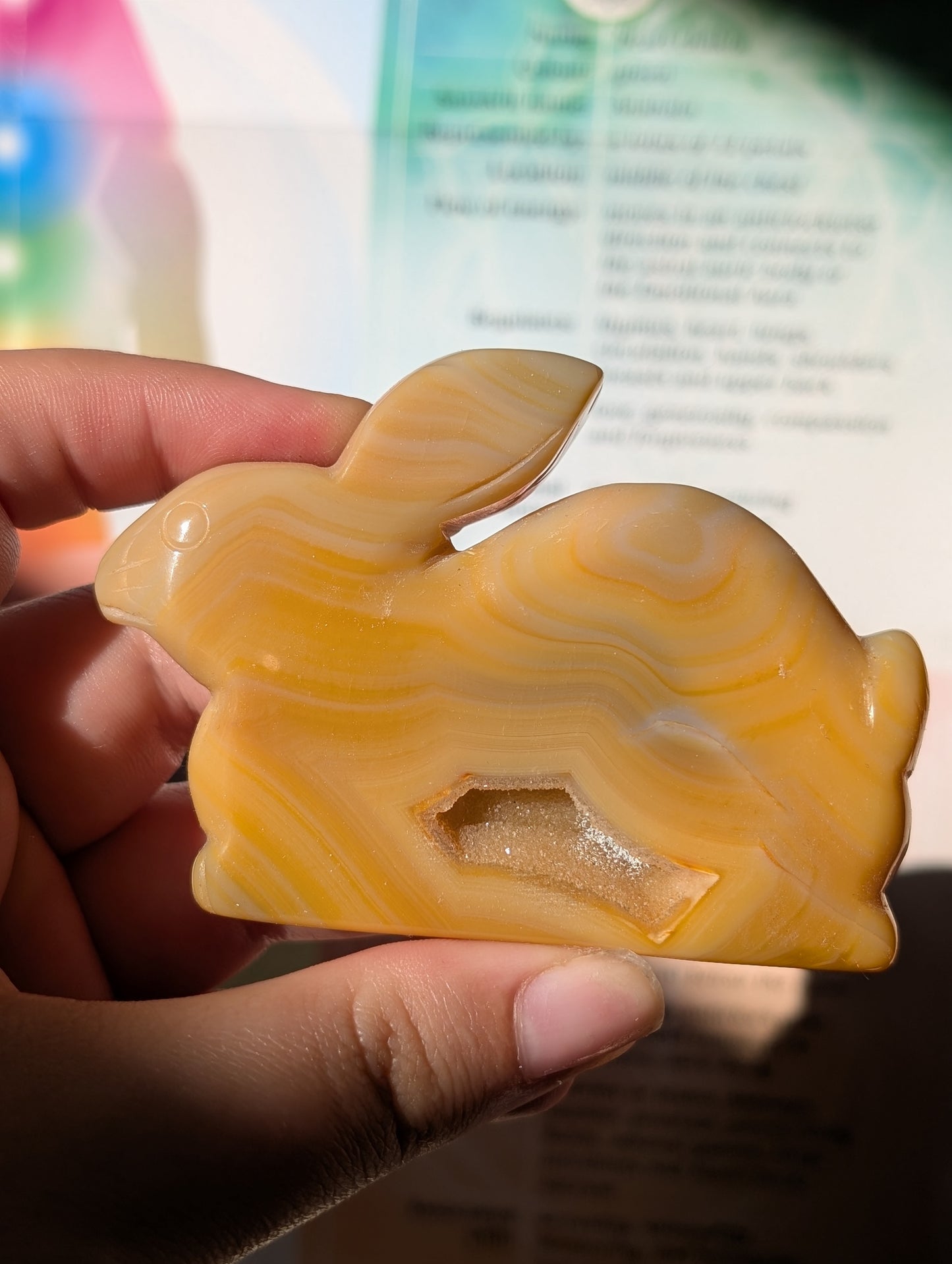 Agate Bunny