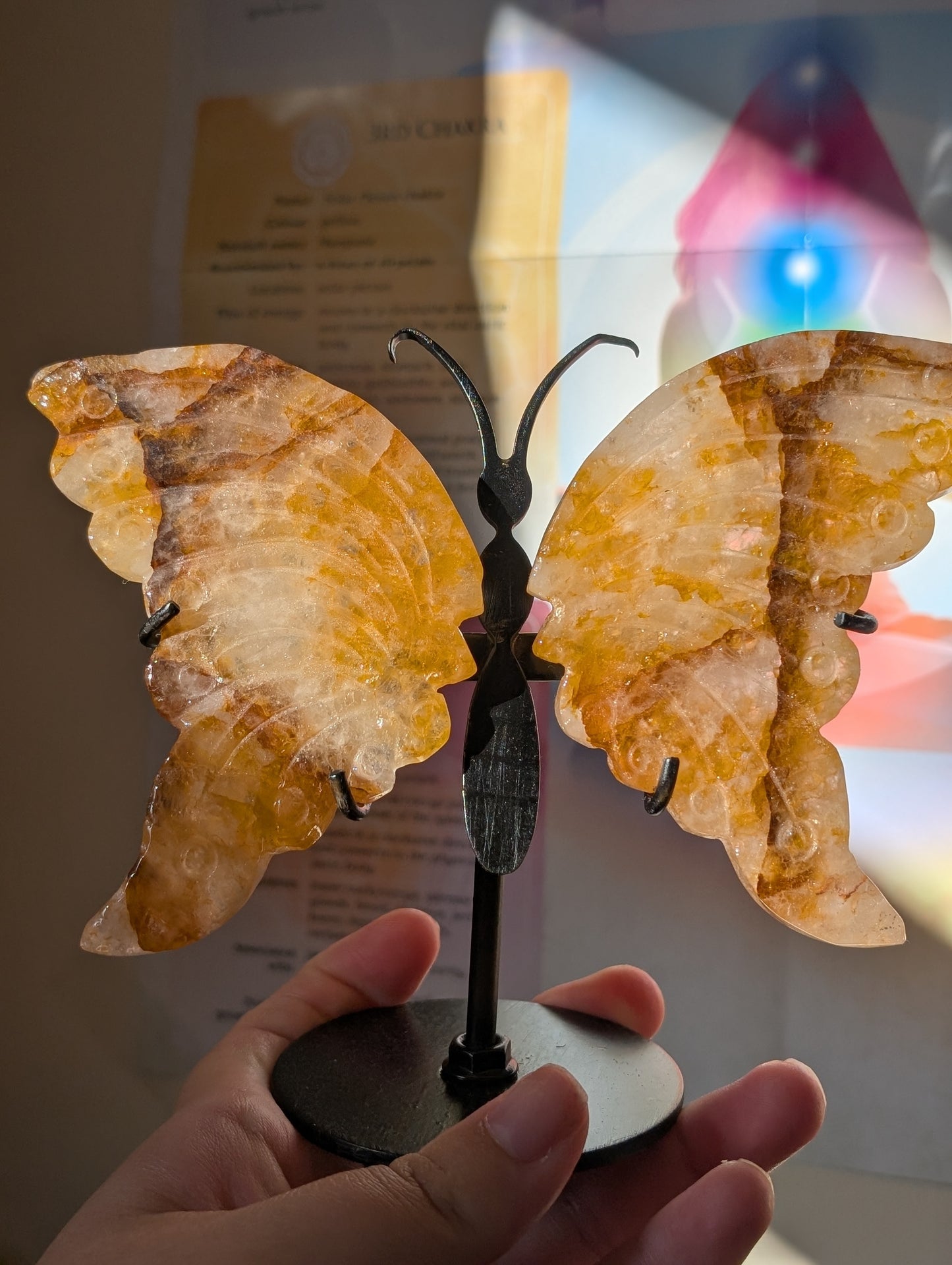 Golden Healer Butterfly