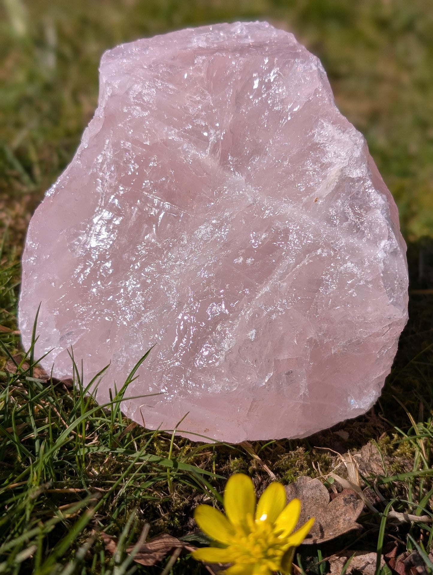 Large natural Rose Quartz