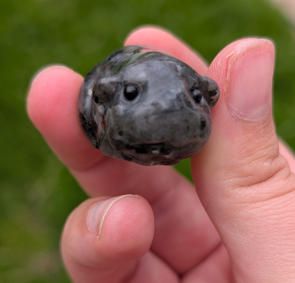 Larvikite Guineapig