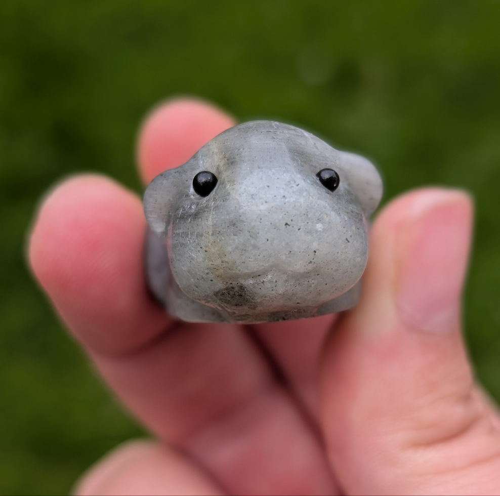 Labradorite Guineapig