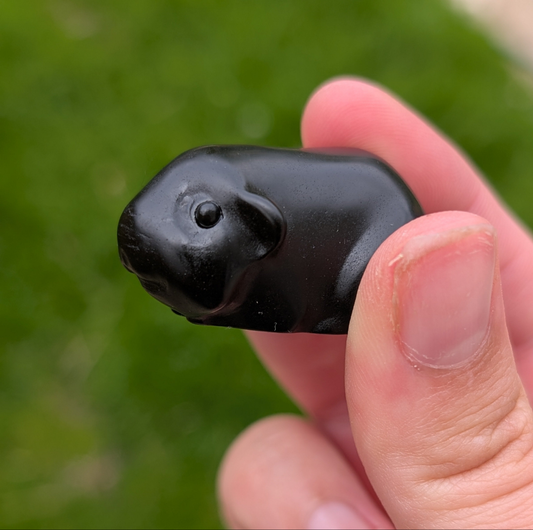 Obsidian Guineapig
