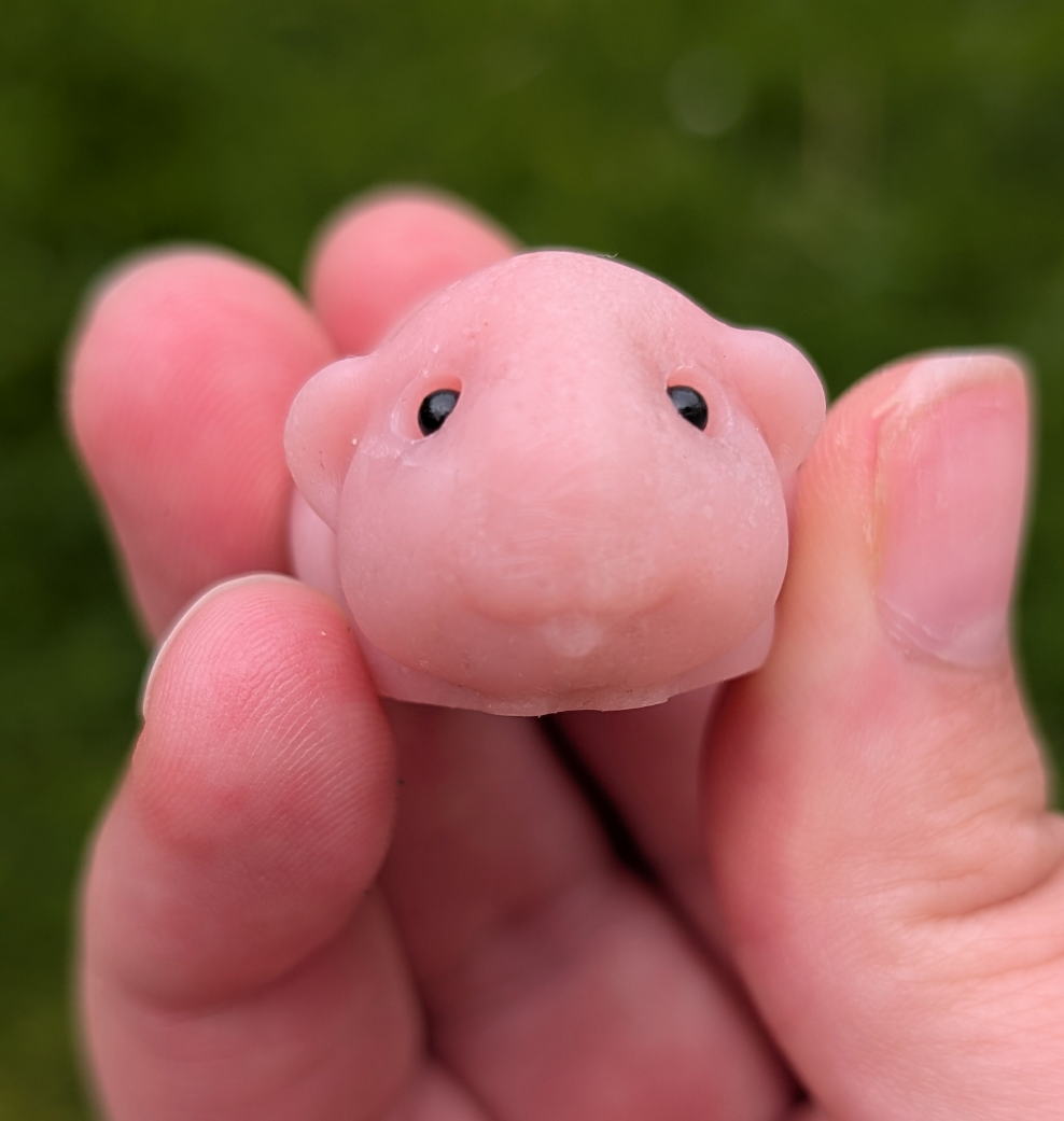 Pink Opal Guineapig