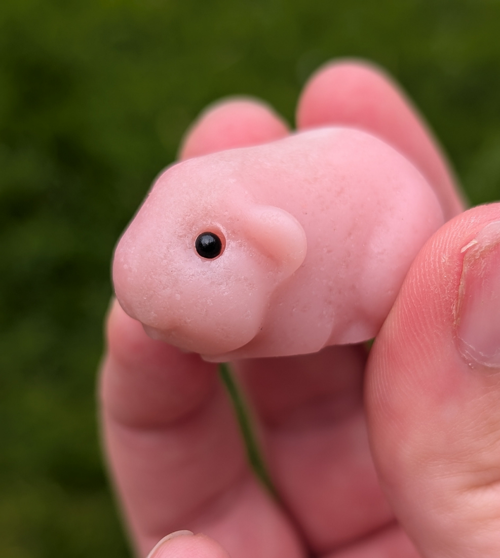 Pink Opal Guineapig