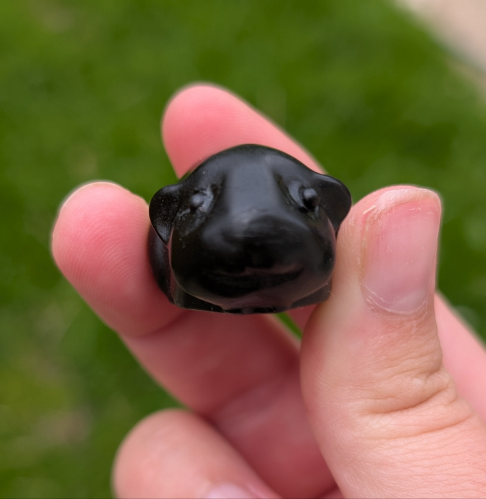 Obsidian Guineapig