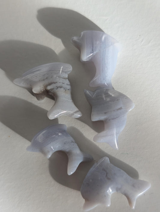 Blue Lace Agate Dolphins